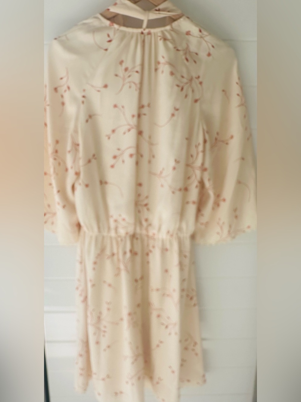 Joie Dakota Summer Cottagecore Fairycore Cream Dress with Red Floral Print - Picture 8 of 9